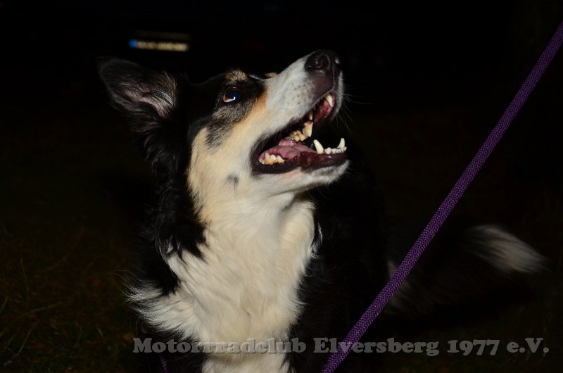 Sommertreffen 2019 - 255